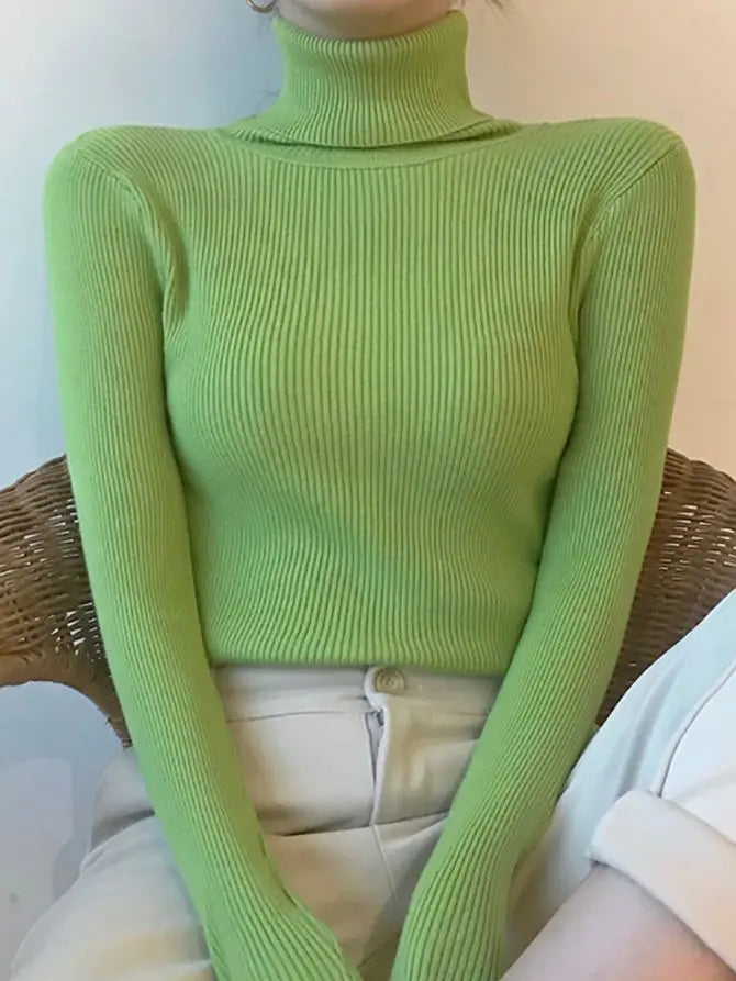 Heliar Women Fall Turtleneck.