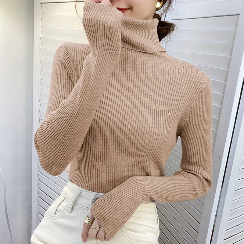 Heliar Women Fall Turtleneck.