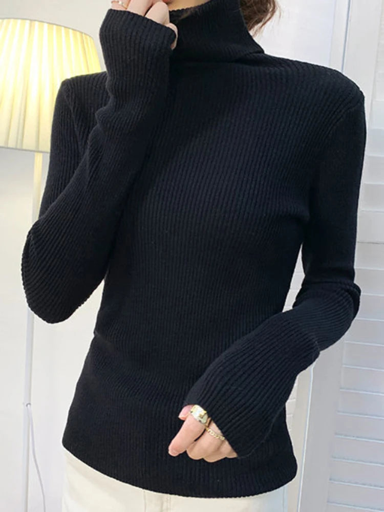 Heliar Women Fall Turtleneck.