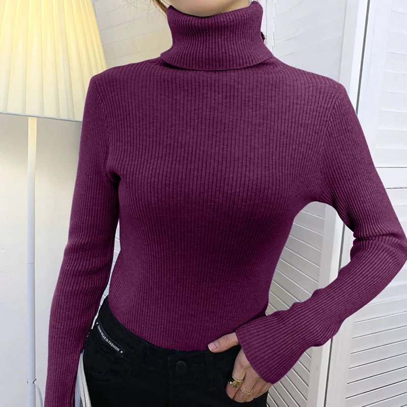 Heliar Women Fall Turtleneck.